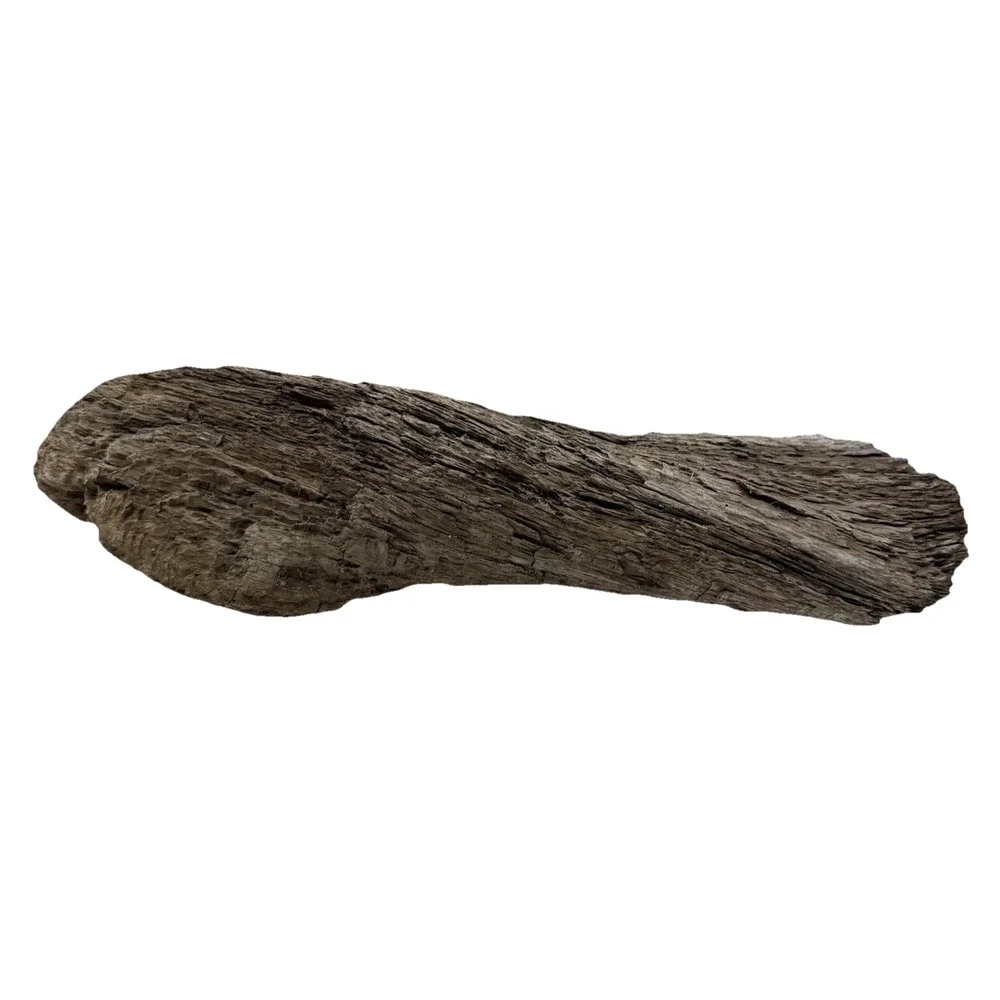 Twisted California Coast Driftwood Form – Dark Weathered Grain 13”